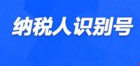 纳税人识别号（纳税人识别号是什么）